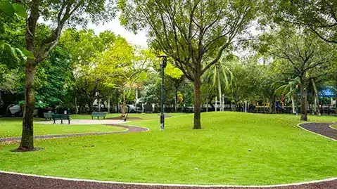 Ground shot of an artificial grass dog park