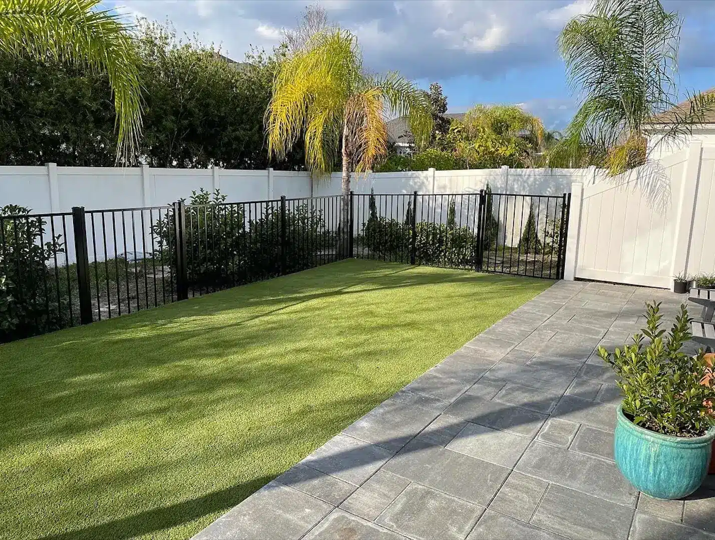 backyard landscape lawn