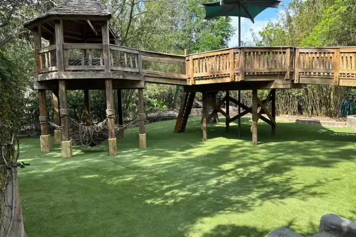 zoo synehtic lawn