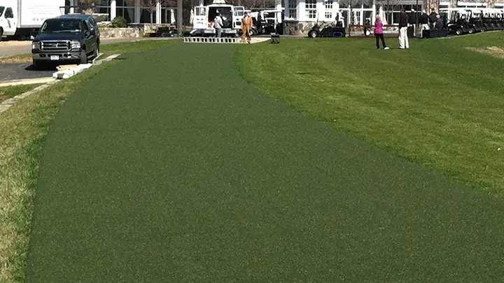 Artificial grass SYNLawn Tee Line